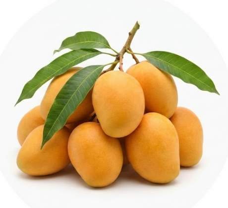 Mango Image